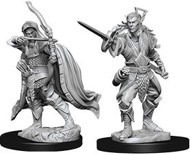 Nolzur`s Marvelous Unpainted : W7 Elf Male Rogue