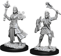 Nolzur`s Marvelous Unpainted : W8 Female Human Cleric