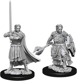 Nolzur`s Marvelous Unpainted : W8 Male Human Cleric