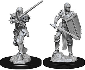 Nolzur`s Marvelous Unpainted Miniatures: W9 Female Human Fighter