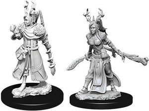Nolzur`s Marvelous Unpainted Miniatures: W9 Female Human Druid