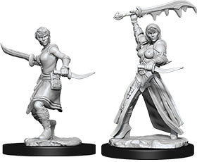 Nolzur`s Marvelous Unpainted Miniatures: W10 Female Human Rogue