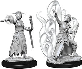 Nolzur`s Marvelous Unpainted Miniatures: W10 Female Human Warlock