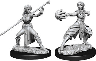 Dungeons & Dragons Nolzur`s Marvelous Unpainted Miniatures: W10 Female Half-Elf Monk