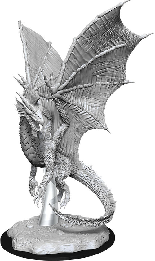 Nolzur`s Marvelous Unpainted Miniatures: W14 Young Silver Dragon