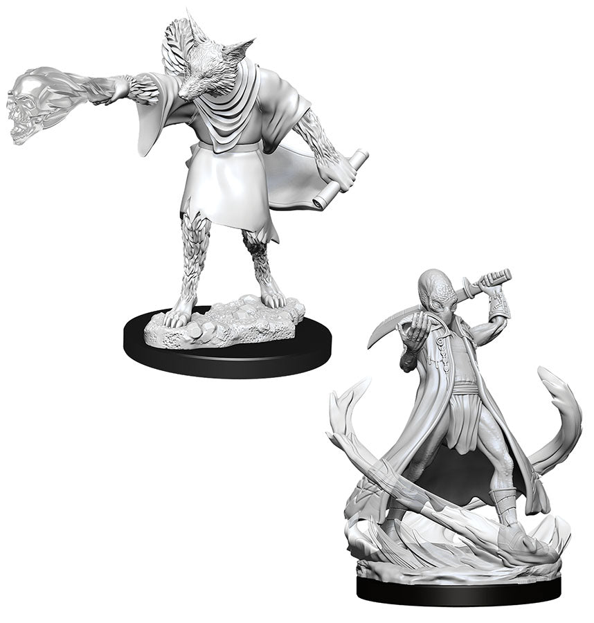 Dungeons & Dragons Nolzur`s Marvelous Unpainted Miniatures: W11 Arcana ...