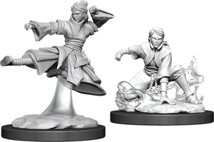 Nolzur`s Marvelous Unpainted Miniatures: W11 Female Human Monk