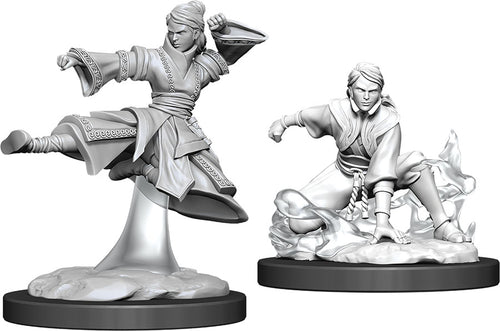 Nolzur`s Marvelous Unpainted Miniatures: W11 Female Human Monk