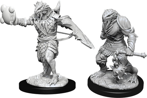 Dungeons & Dragons Nolzur`s Marvelous Unpainted Miniatures: W11 Male Dragonborn Paladin