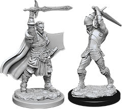 Nolzur`s Marvelous Unpainted Miniatures: W12 Male Human Paladin