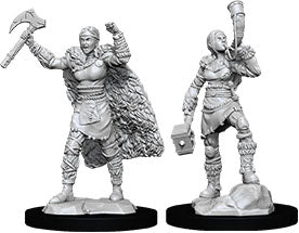 Nolzur`s Marvelous Unpainted Miniatures: W12 Female Human Barbarian