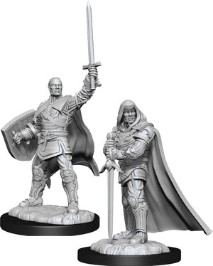 Nolzur`s Marvelous Unpainted Miniatures: W13 Human Paladin Male