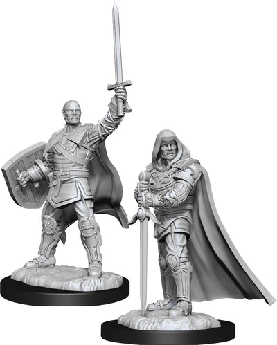 Nolzur`s Marvelous Unpainted Miniatures: W13 Human Paladin Male