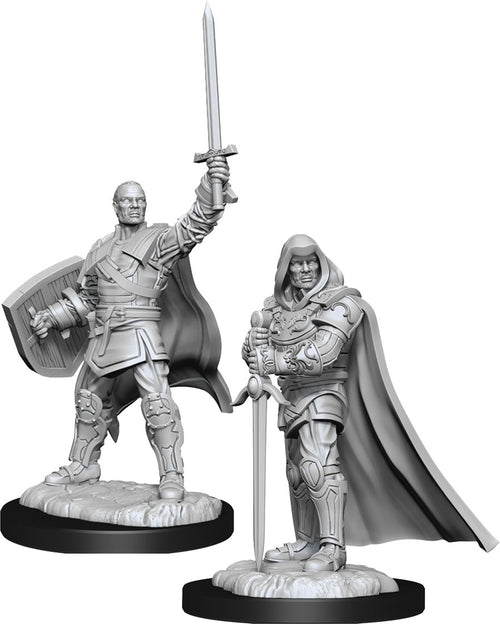 Nolzur`s Marvelous Unpainted Miniatures: W13 Human Paladin Male