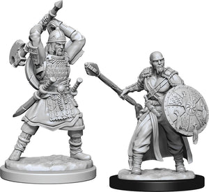 Nolzur`s Marvelous Unpainted Miniatures: W13 Human Barbarian Male