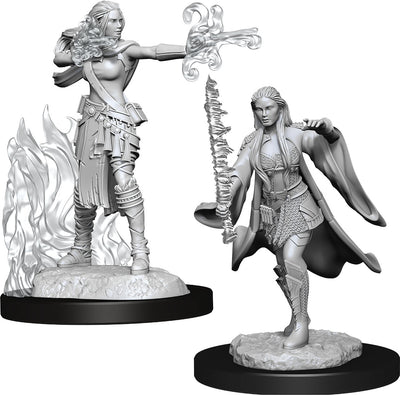 Nolzur`s Marvelous Unpainted Miniatures: W13 Multiclass Warlock + Sorcerer Female