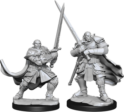 Nolzur`s Marvelous Unpainted : W15 Half-Orc Paladin Male