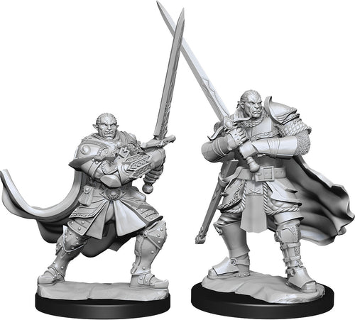 Nolzur`s Marvelous Unpainted : W15 Half-Orc Paladin Male
