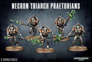 Triarch Praetorians / Lychguard