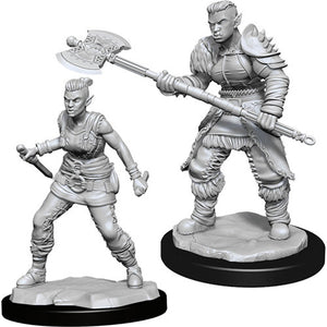 Nolzur's Marvelous Unpainted : W13 Female Orc Barbarian