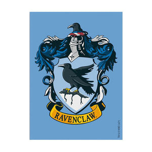 Dragon Shield: Ravenclaw (100)