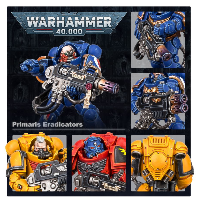 Eradicators Primaris, Personalized color scheme - Pro Painted Eradicators Primaris, Personalized color scheme - Pro Painted