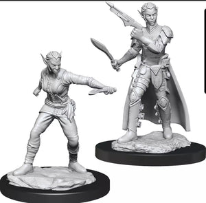 Nolzur's marvelous miniatures shifter rogue