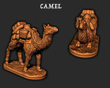 Empire of the Scorching Sands - Camel