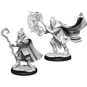 Critical Role Unpainted Miniatures: W1 Male Hobgoblin Wizard & Druid